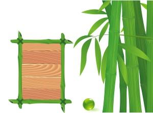 Choose Environmentally Friendly Bamboo Shopping Bags