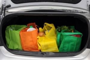 Banning Plastic Bags to Promote Cloth Shopping Bags