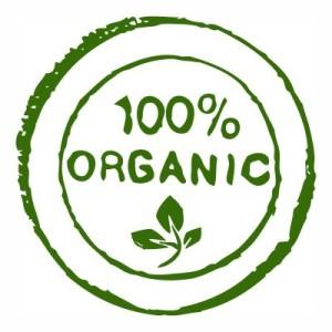 Reasons that Explain Why Organic Food is Better