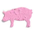 Seed Paper Shape Pig 1 - Pink